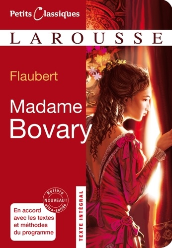 Madame Bovary. Roman