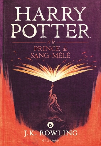 Harry Potter Tome 6 : Harry Potter et le Prince de Sang-Mêlé