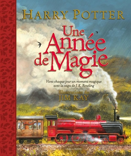 Harry Potter : Une année de magie