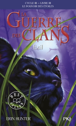 La guerre des clans : le pouvoir des étoiles (Cycle III) Tome 3 : Exil