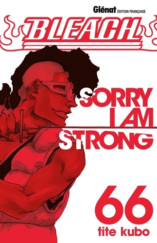 Bleach Tome 66 : Sorry I am strong