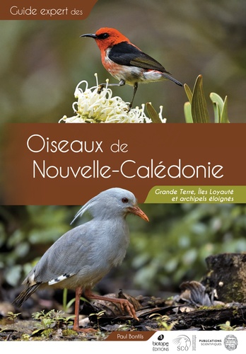 Guide des Oiseaux de Nouvelle-Calédonie