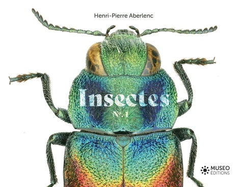 Insectes. Tome 1