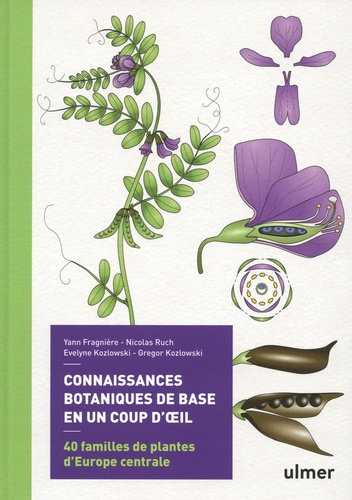 Connaissances botaniques en un coup d'oeil. 40 familles de plantes d'Europe centrale