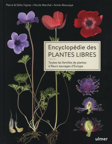 Encyclopédie des plantes libres. Toutes les familles de plantes à fleurs sauvages d'Europe