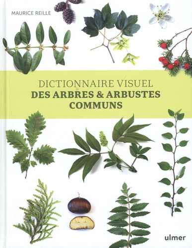 Dictionnaire visuel des arbres & arbustes communs