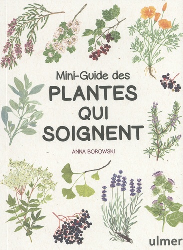 Mini-guide des plantes qui soignent