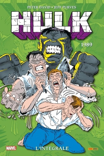 Hulk L'intégrale : 1989