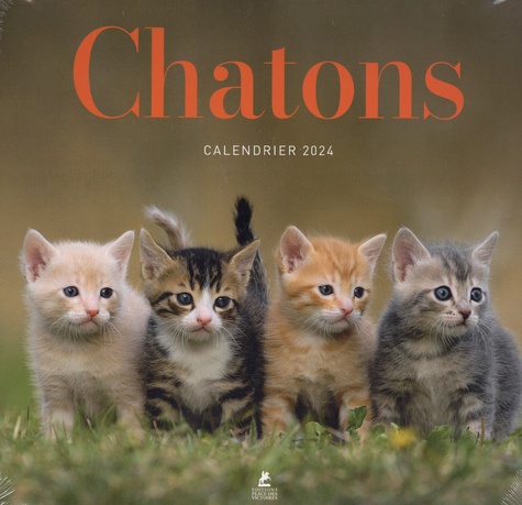 Calendrier chatons. Edition 2024