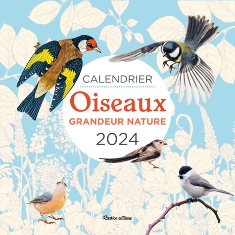 Calendrier Oiseaux grandeur nature. Edition 2024