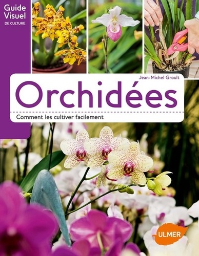Orchidées. Comment les cultiver facilement