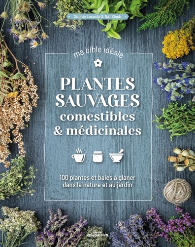Plantes sauvages comestibles & médicinales. 100 plantes & baies à glaner dans la nature et au jardin
