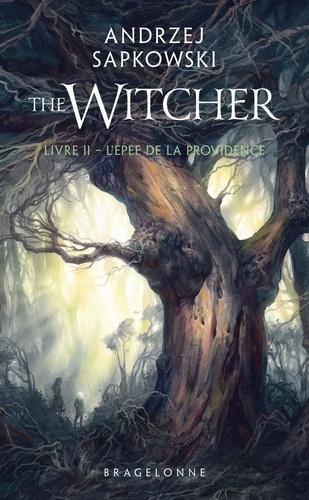 The Witcher Tome 2 : L'Epée de la providence