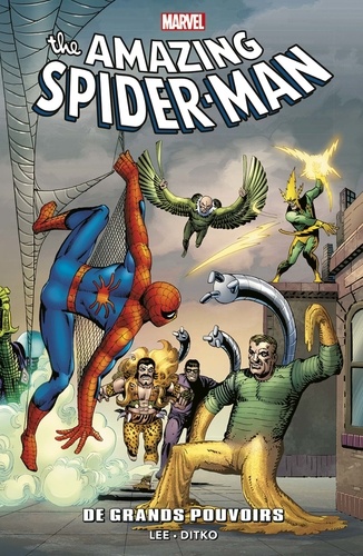 The Amazing Spider-Man : De grands pouvoirs