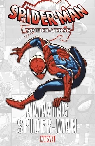 Spider-Man : Spider-Verse : Amazing Spider-Man