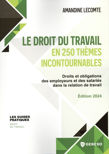 Le droit du travail en 250 thèmes incontournables. Droits et obligations des employeurs et des salariés dans la relation de travail, Edition 2024